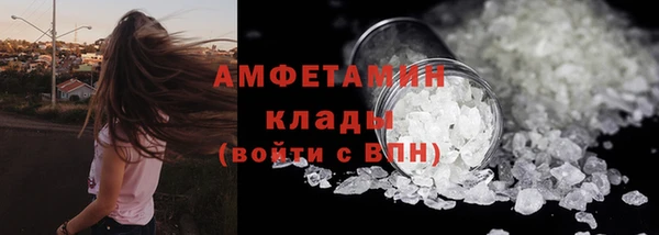 метадон Богданович