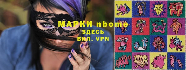 метадон Богданович