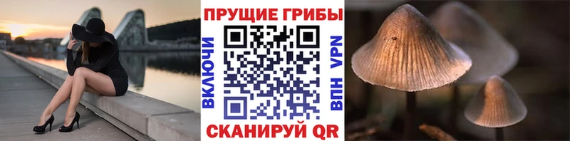 купить закладку Симферополь kraken зеркало Галлюциногенные грибы Magic Shrooms